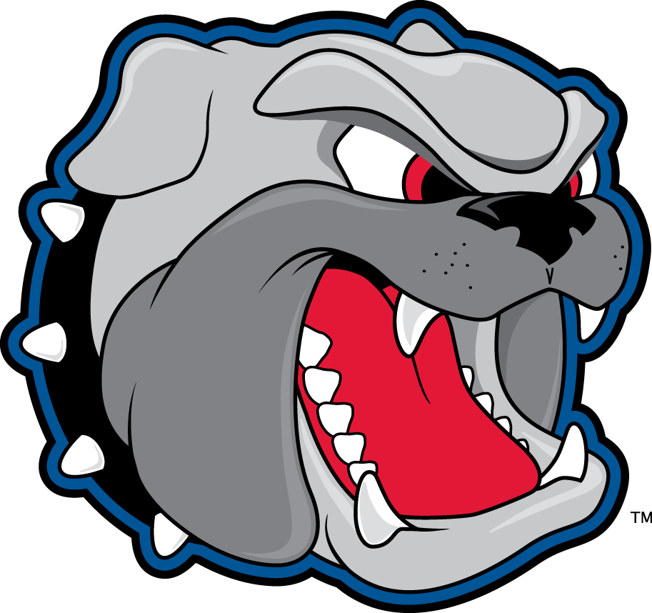 North Carolina Asheville Bulldogs 1998-Pres Secondary Logo diy DTF decal sticker